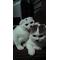 何でもありあり[D:F995][D:F8F6]