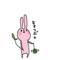 きゃちゅぴょ☆
