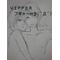 VIPPERﾌﾟｷﾞｬｰm9(^Д^)